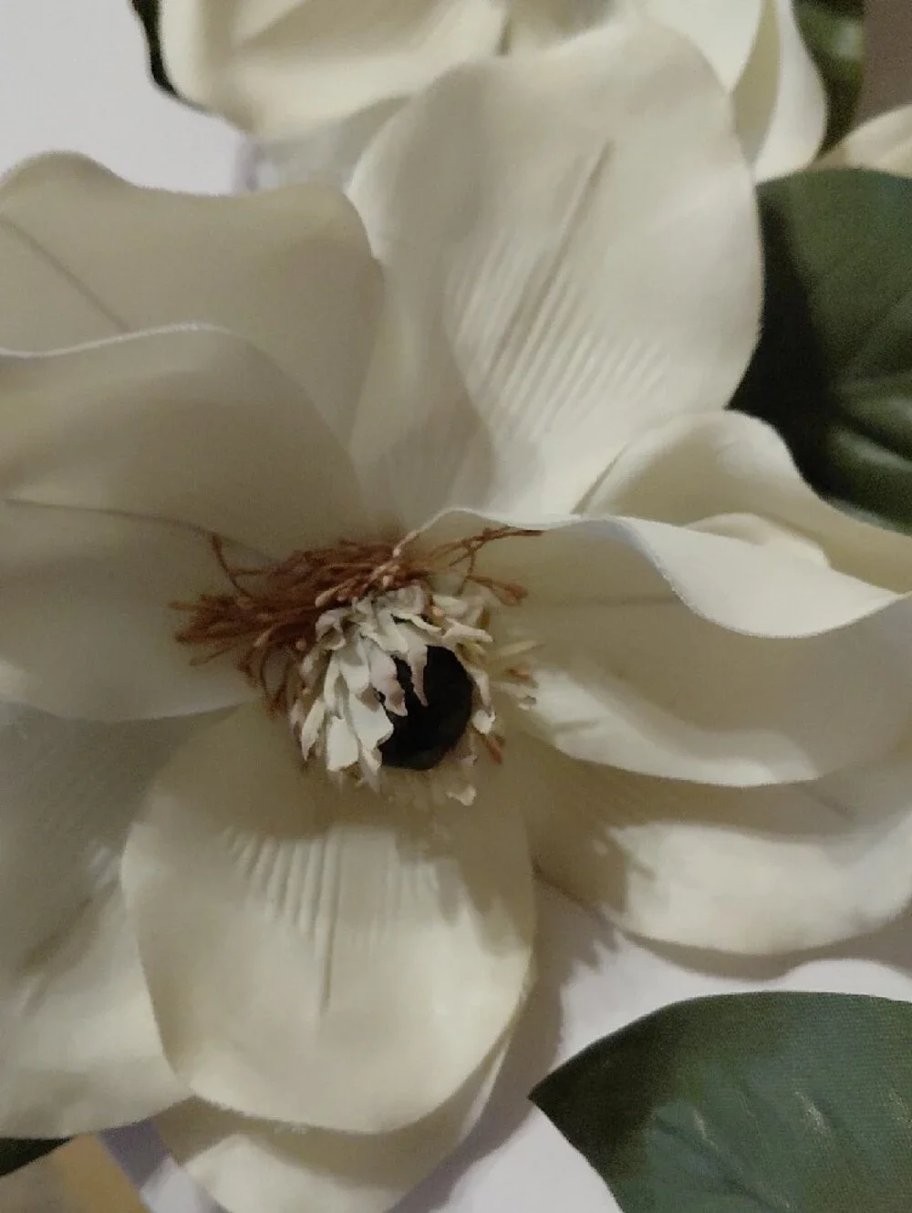 Silk Magnolia Stem Bouquet in Cream and Green - Home Accents